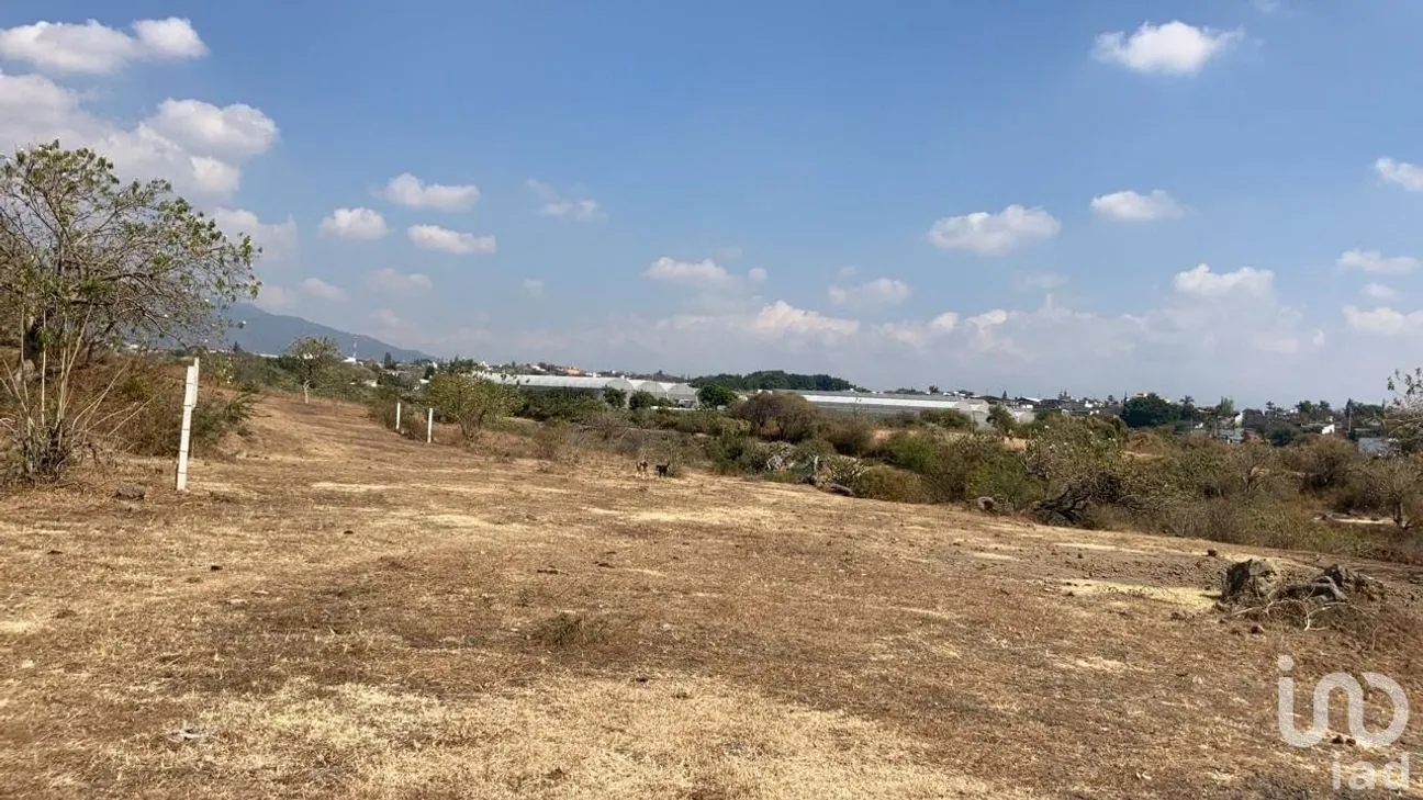 Terreno en Venta en San Sebastián, Atlatlahucan, Morelos | NEX-250431 | iad México | Foto 4 de 4