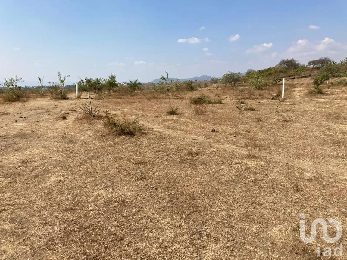 Terreno en Venta en San Sebastián, Atlatlahucan, Morelos | NEX-250431 | iad México | Foto 1 de 4