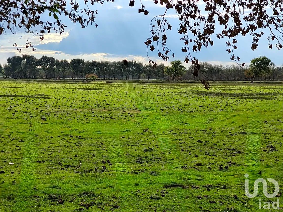 Terreno en Venta en San José, Tepeaca, Puebla | NEX-250371 | iad México | Foto 2 de 10