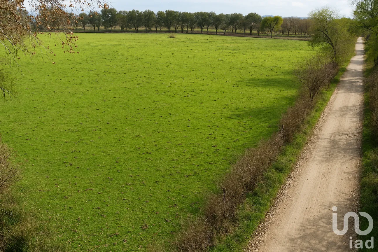 Terreno en Venta en San José, Tepeaca, Puebla | NEX-250371 | iad México | Foto 3 de 10