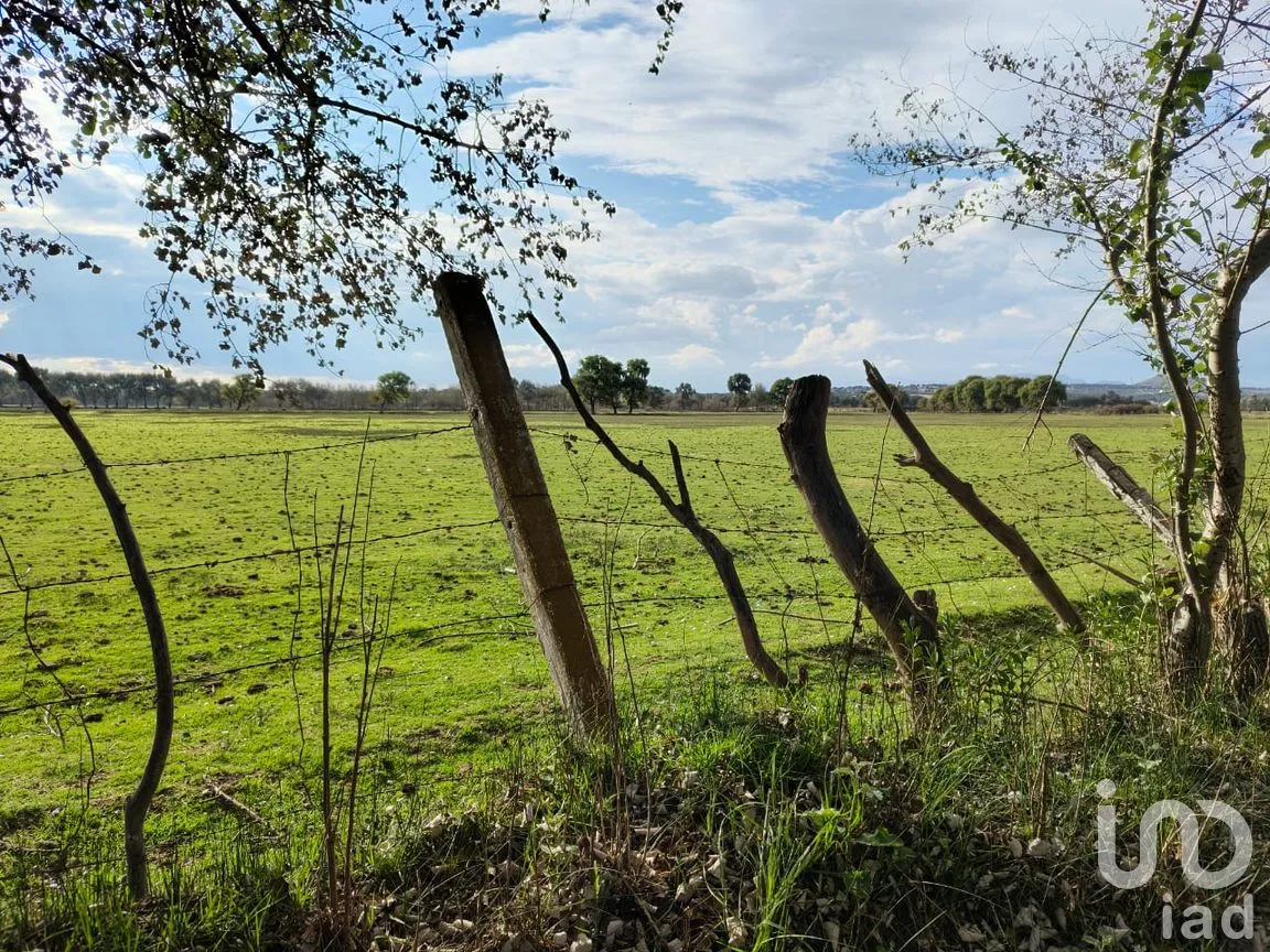 Terreno en Venta en San José, Tepeaca, Puebla | NEX-250371 | iad México | Foto 6 de 10