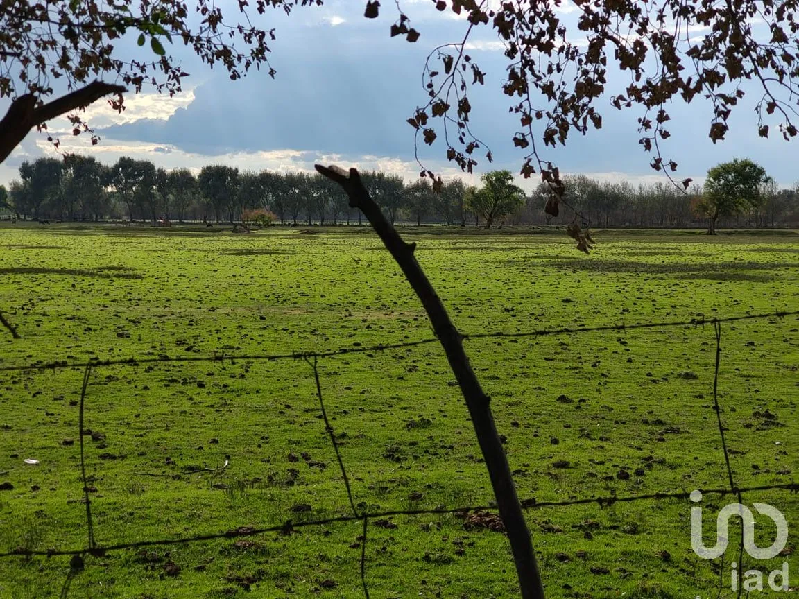 Terreno en Venta en San José, Tepeaca, Puebla | NEX-250371 | iad México | Foto 7 de 10