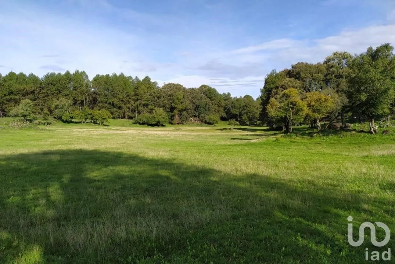 Terreno en Venta en Avándaro, Valle de Bravo, México | NEX-255455 | iad México | Foto 2 de 22
