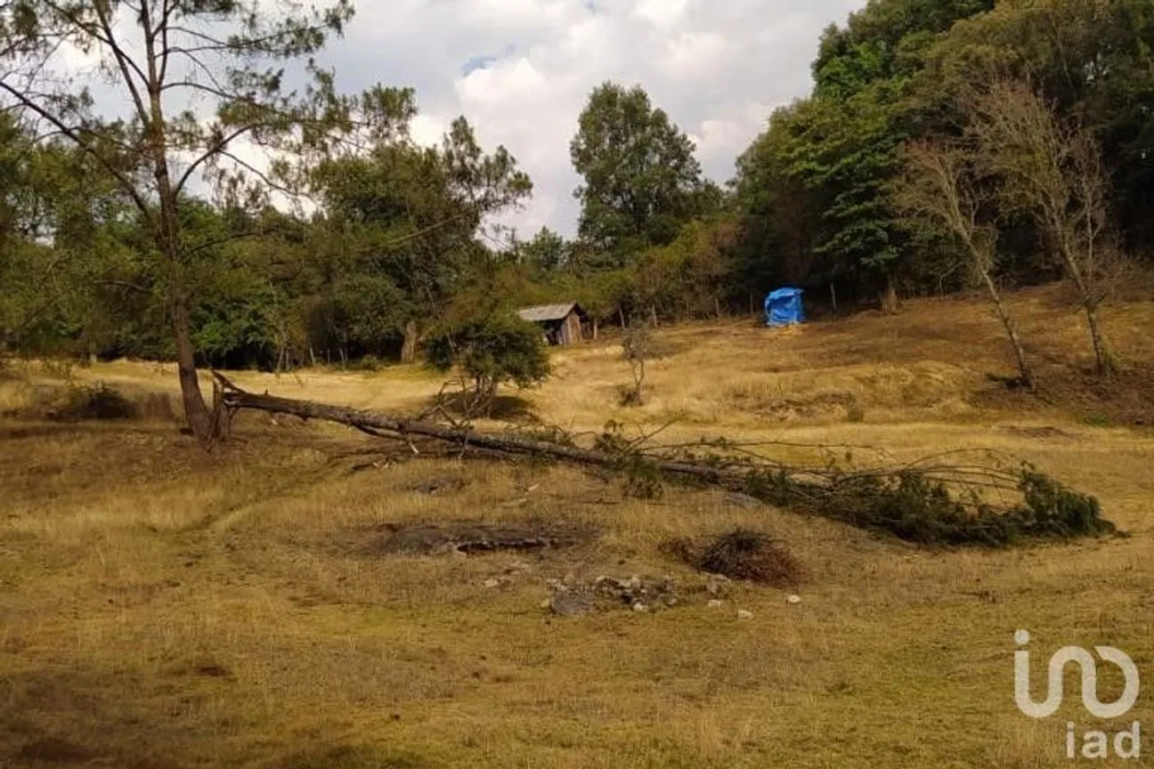 Terreno en Venta en Avándaro, Valle de Bravo, México | NEX-255455 | iad México | Foto 11 de 22