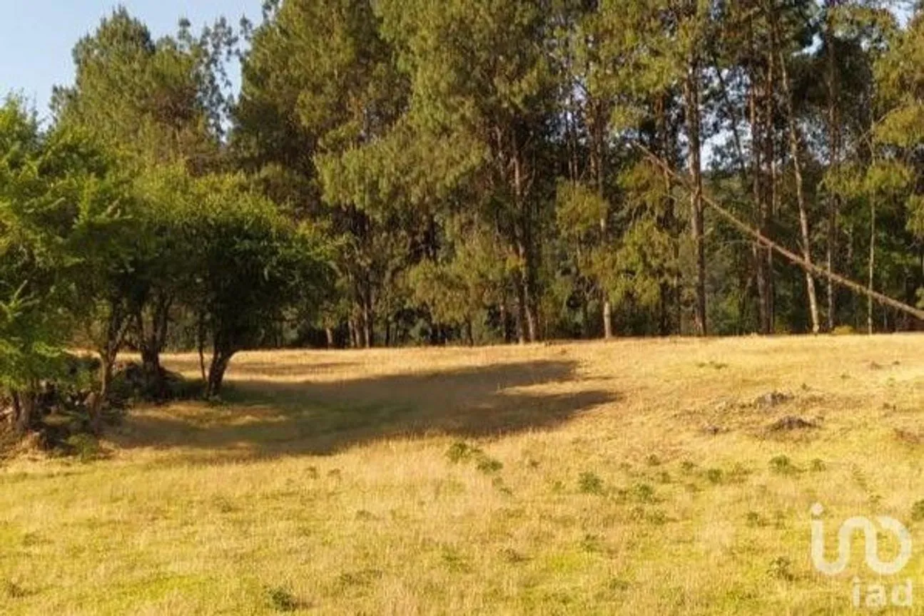 Terreno en Venta en Avándaro, Valle de Bravo, México | NEX-255455 | iad México | Foto 12 de 22