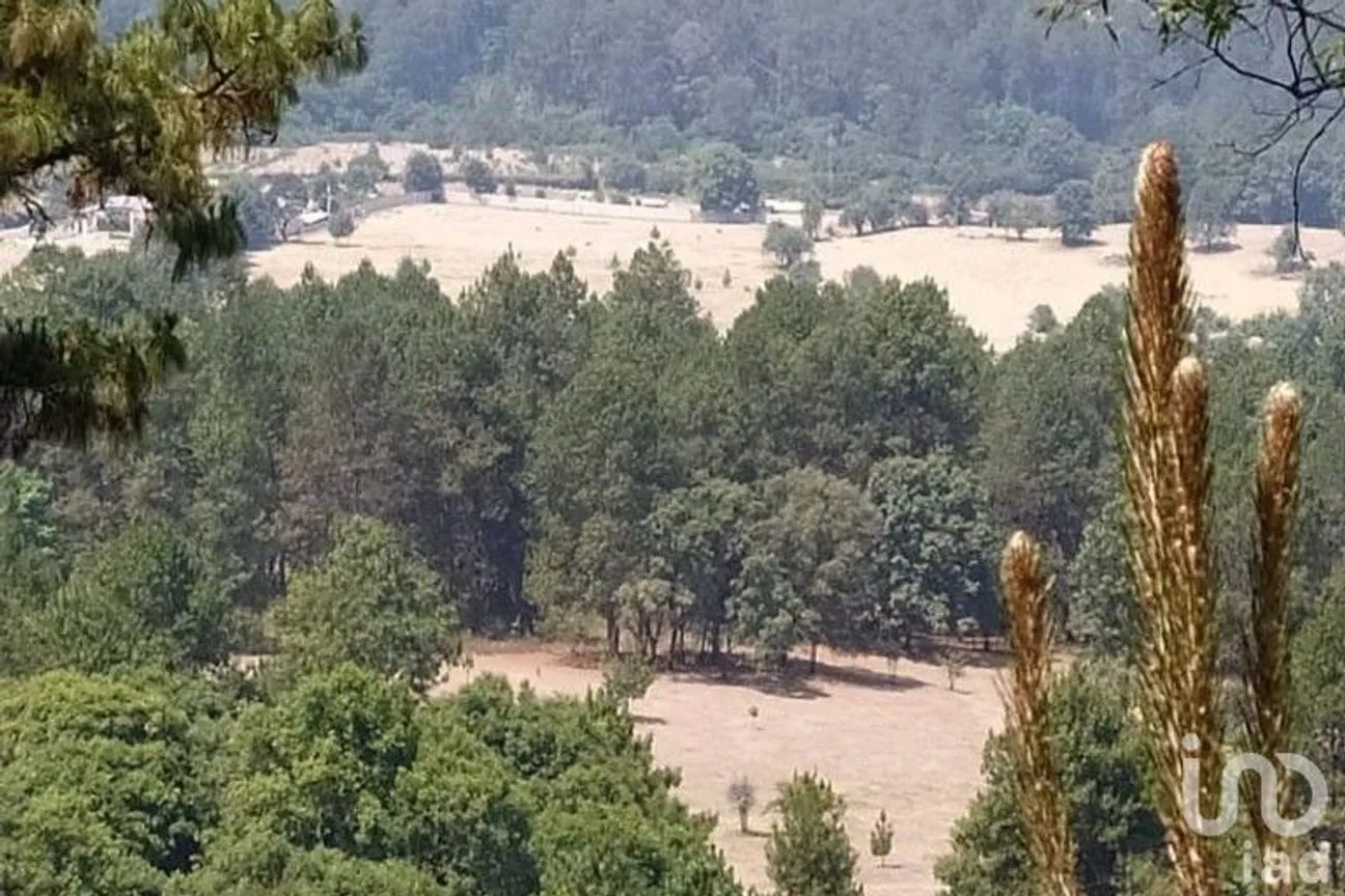 Terreno en Venta en Avándaro, Valle de Bravo, México | NEX-255455 | iad México | Foto 13 de 22