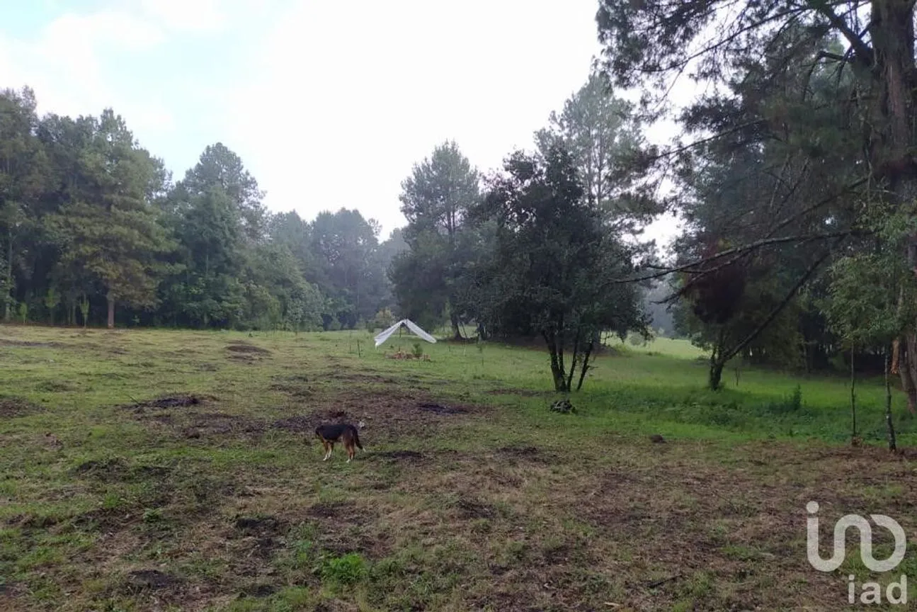 Terreno en Venta en Avándaro, Valle de Bravo, México | NEX-255455 | iad México | Foto 15 de 22