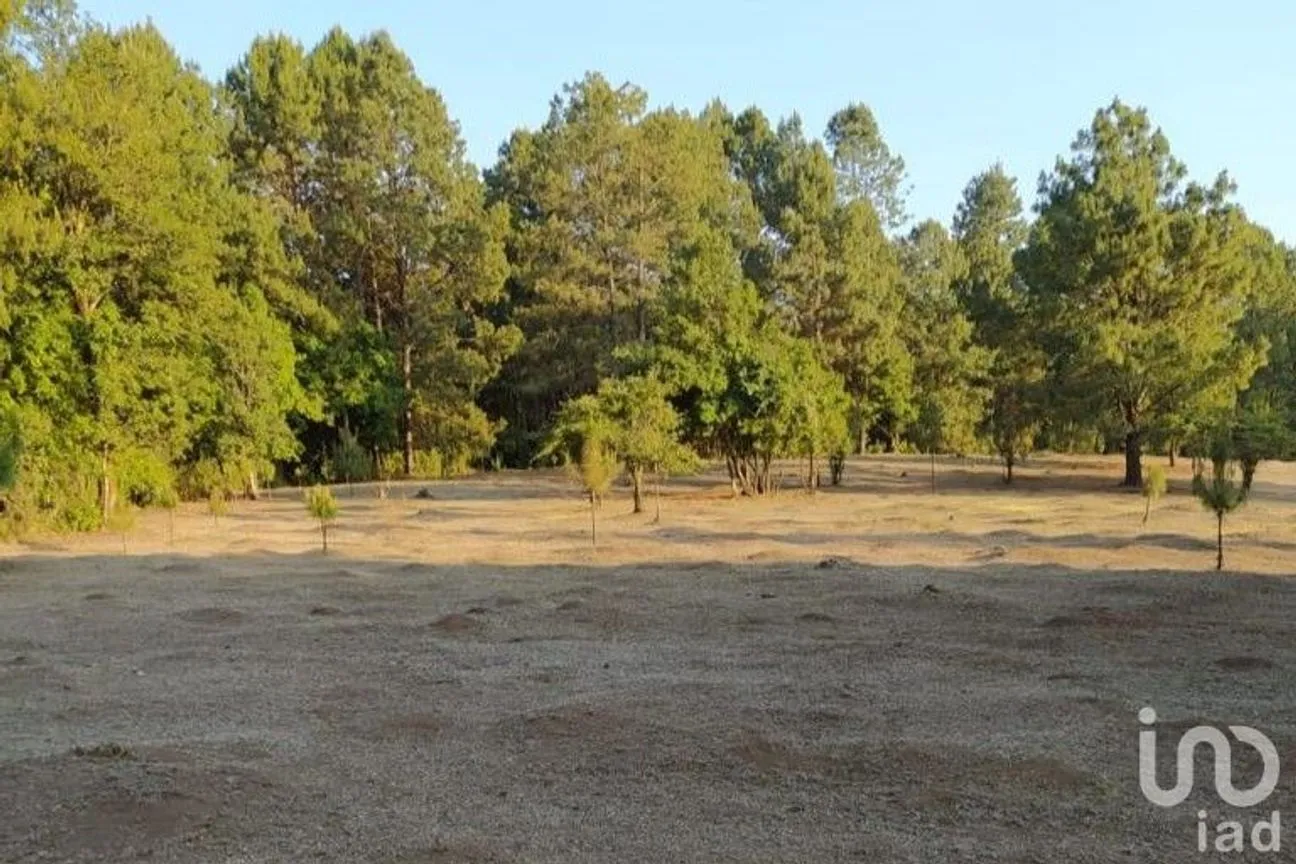 Terreno en Venta en Avándaro, Valle de Bravo, México | NEX-255455 | iad México | Foto 16 de 22