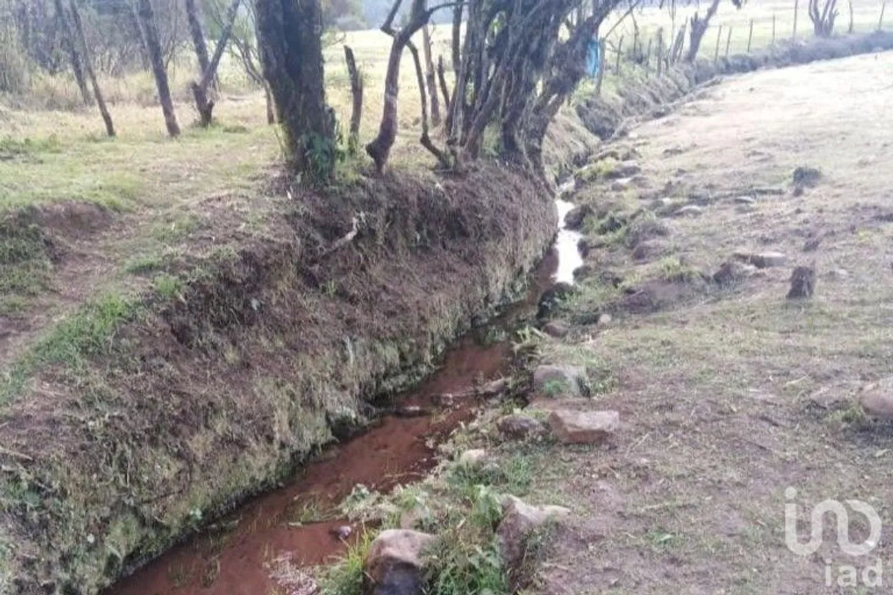 Terreno en Venta en Avándaro, Valle de Bravo, México | NEX-255455 | iad México | Foto 19 de 22