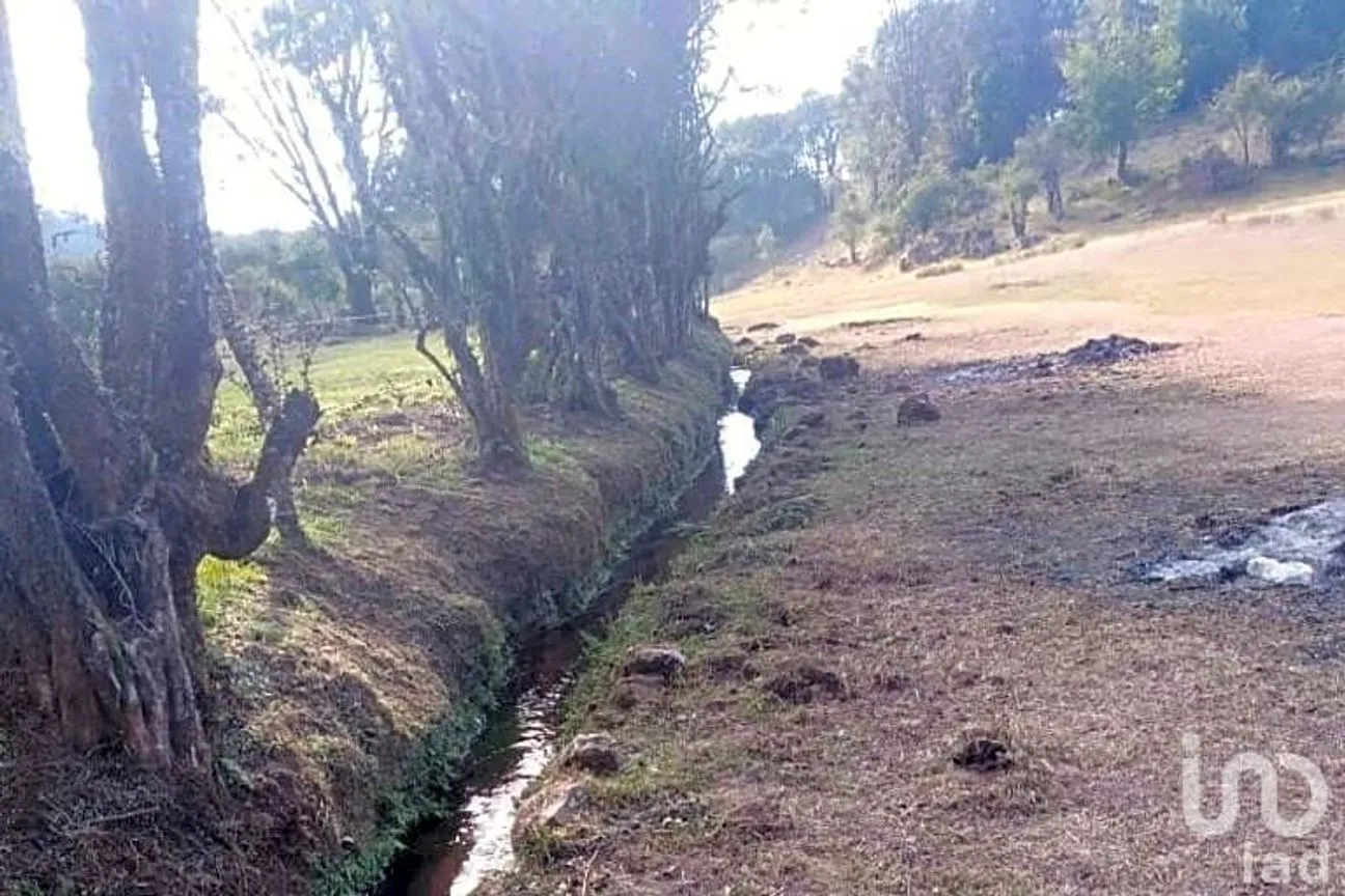Terreno en Venta en Avándaro, Valle de Bravo, México | NEX-255455 | iad México | Foto 20 de 22