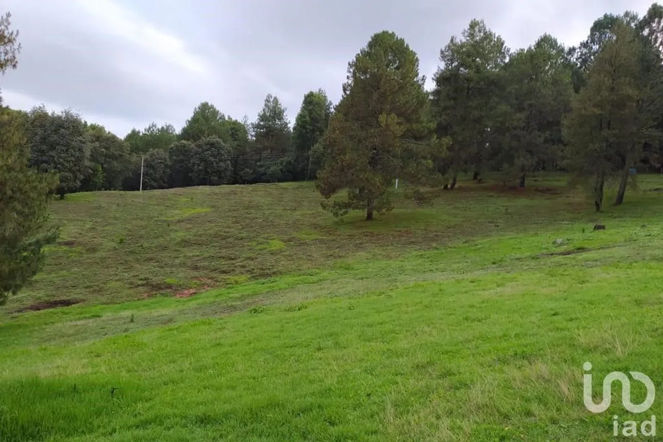 Terreno en Venta en Avándaro, Valle de Bravo, México | NEX-255455 | iad México | Foto 3 de 22