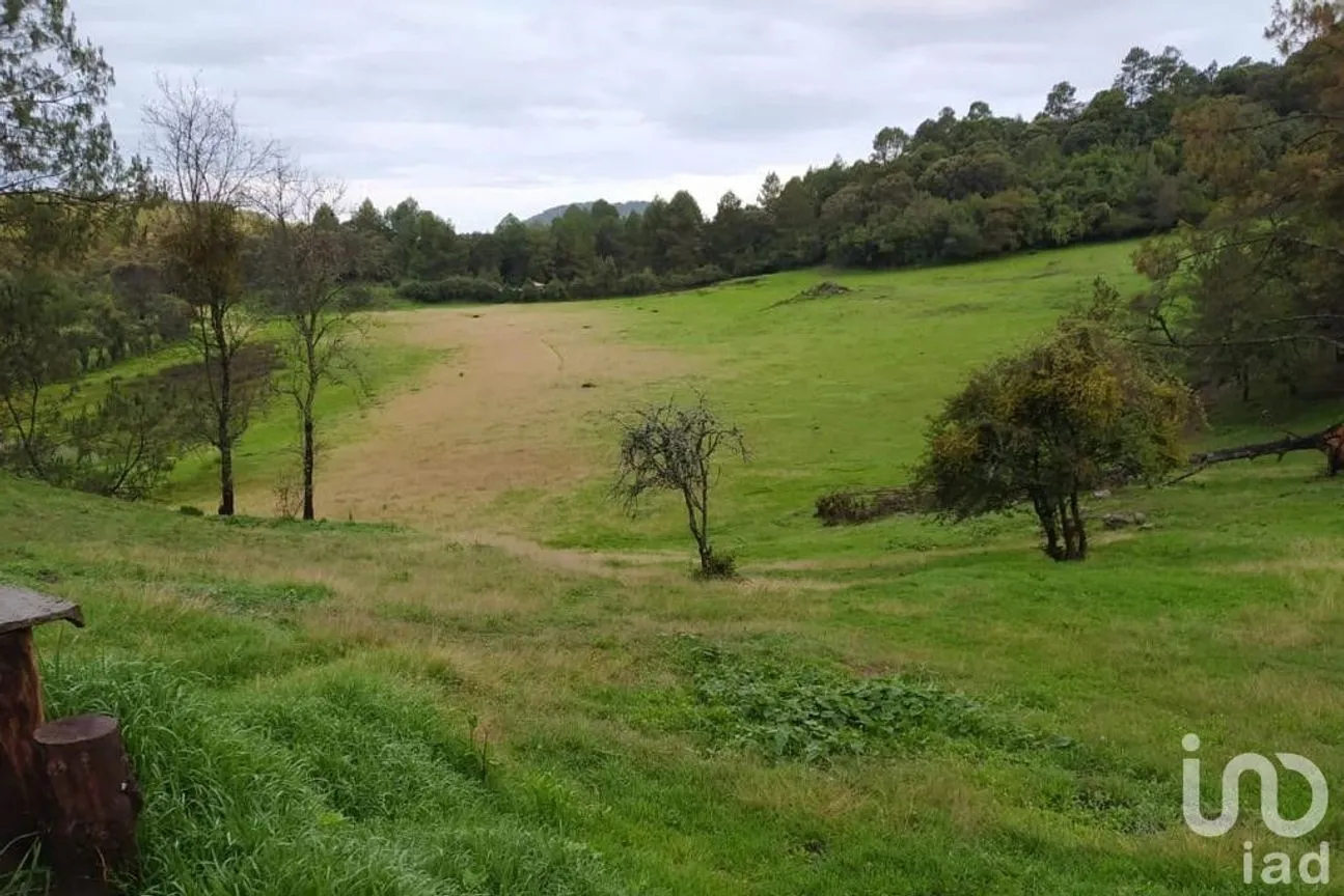 Terreno en Venta en Avándaro, Valle de Bravo, México | NEX-255455 | iad México | Foto 4 de 22