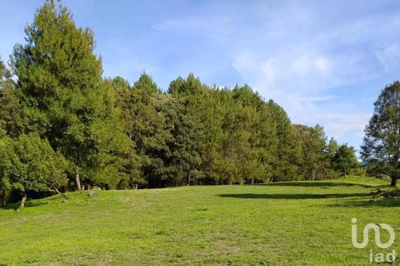Terreno en Venta en Avándaro, Valle de Bravo, México | NEX-255455 | iad México | Foto 5 de 22