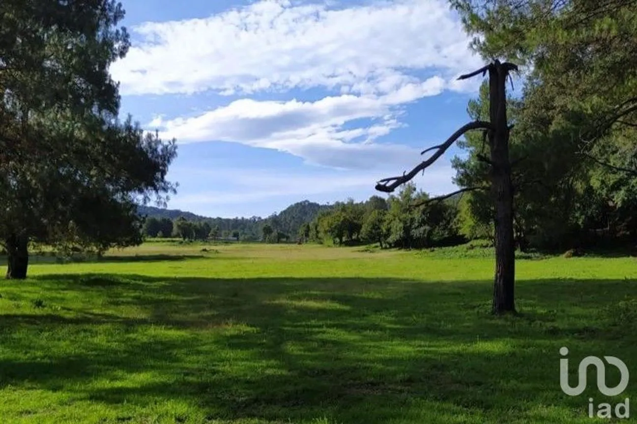 Terreno en Venta en Avándaro, Valle de Bravo, México | NEX-255455 | iad México | Foto 6 de 22