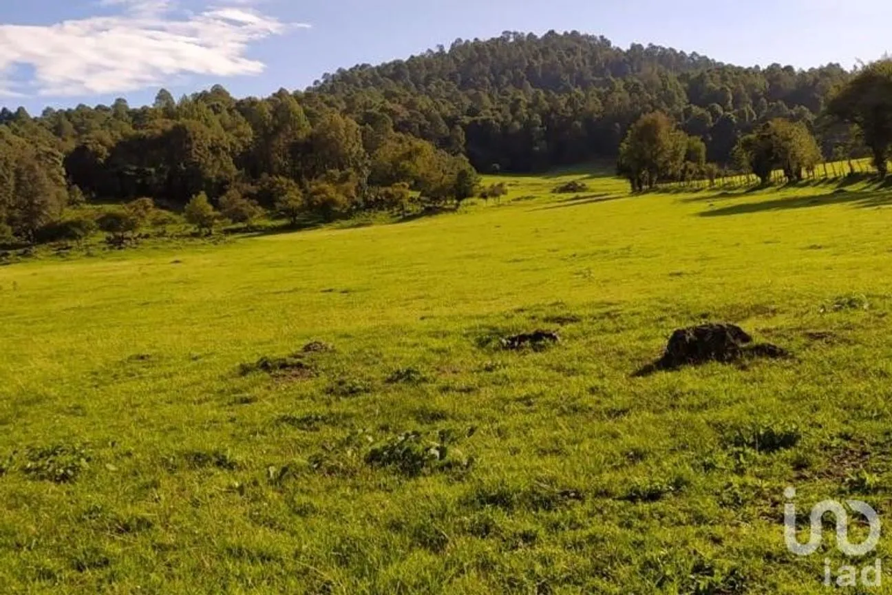 Terreno en Venta en Avándaro, Valle de Bravo, México | NEX-255455 | iad México | Foto 7 de 22