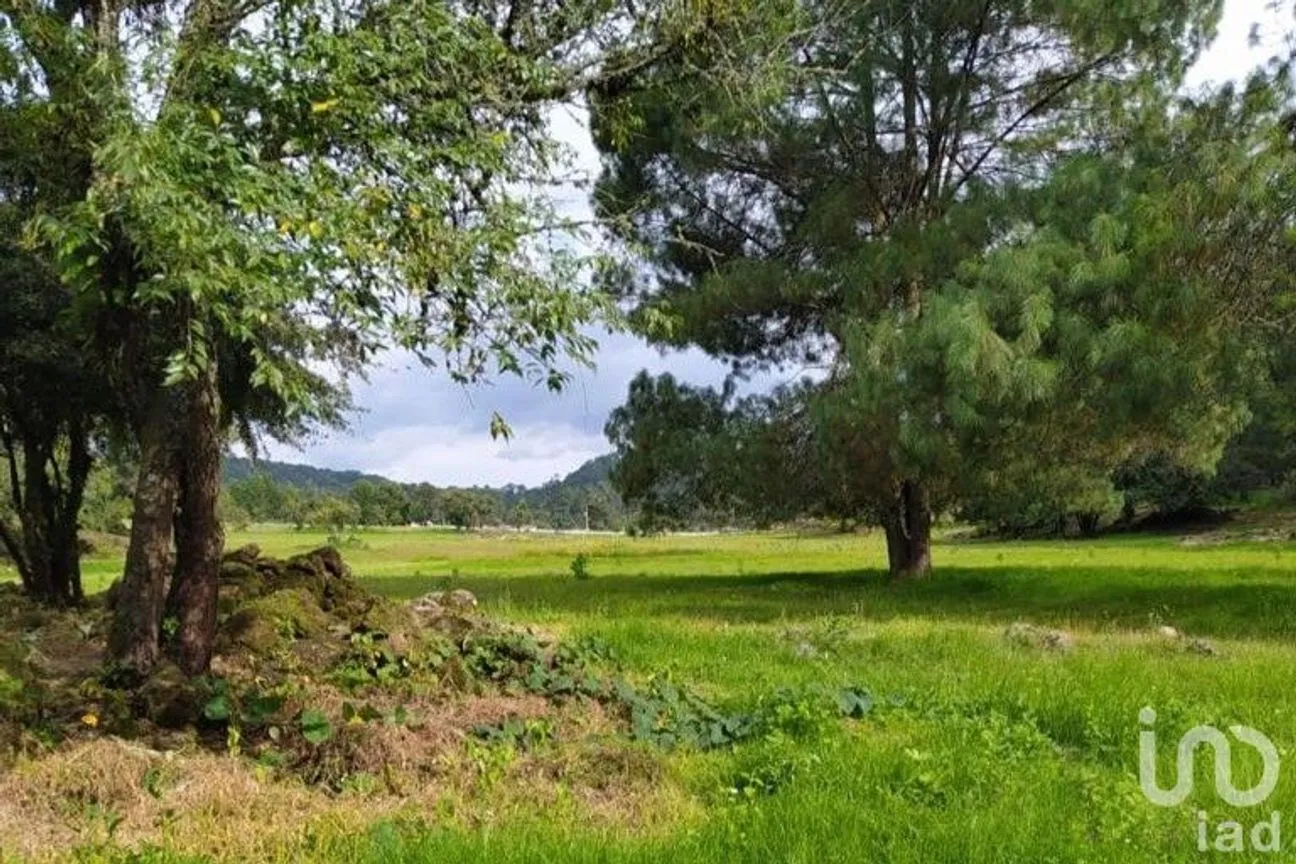 Terreno en Venta en Avándaro, Valle de Bravo, México | NEX-255455 | iad México | Foto 9 de 22
