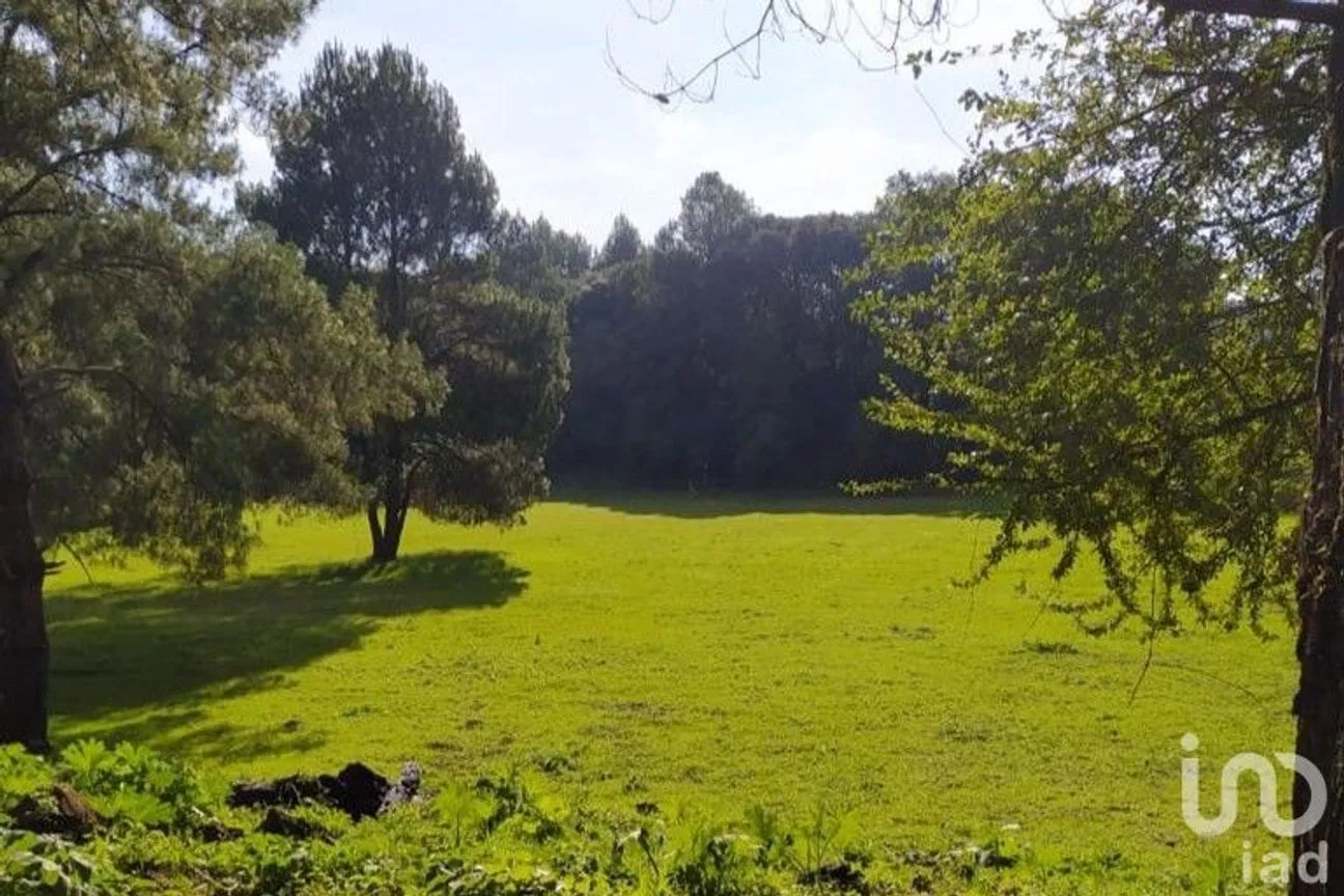 Terreno en Venta en Avándaro, Valle de Bravo, México | NEX-255455 | iad México | Foto 10 de 22