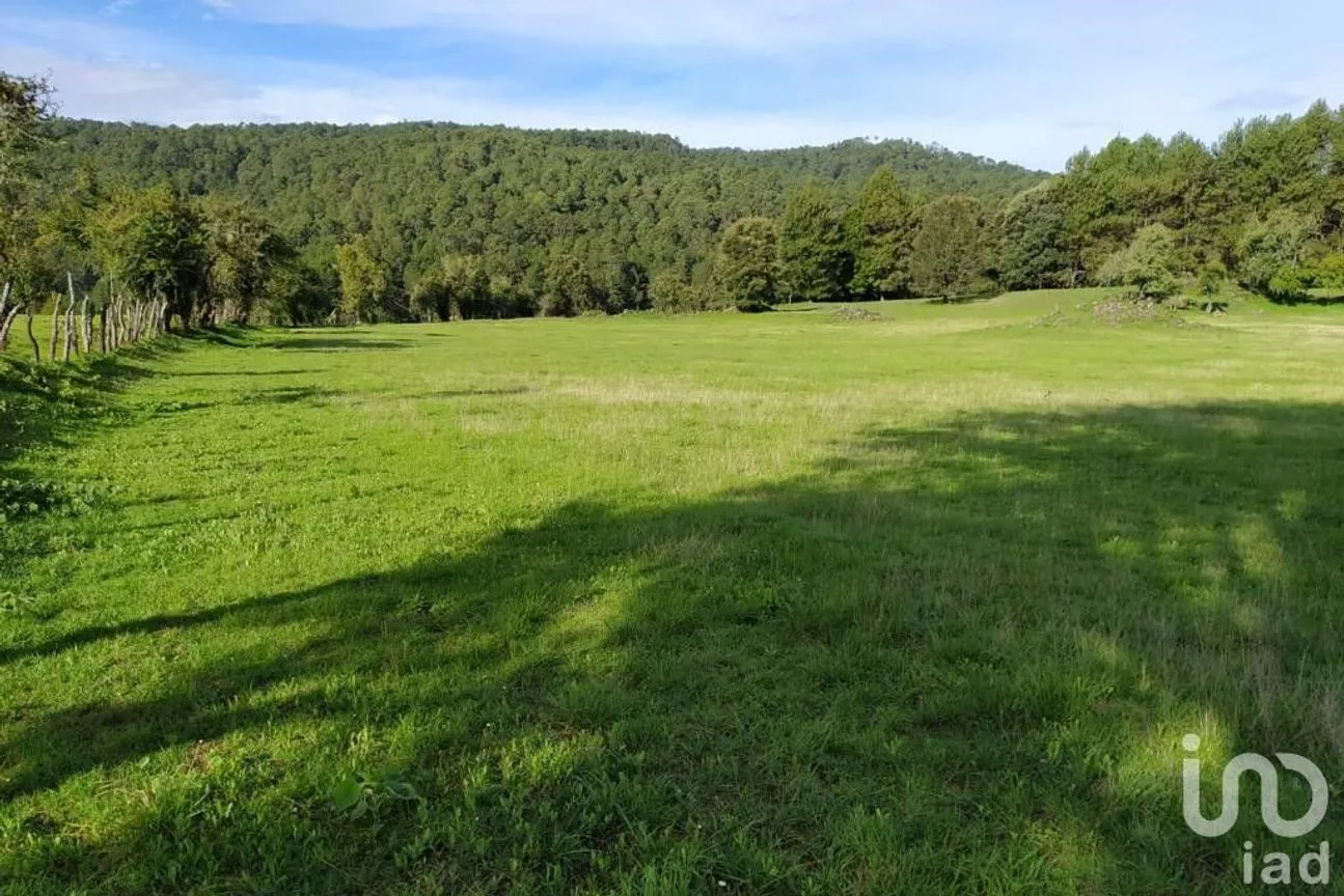 Terreno en Venta en Avándaro, Valle de Bravo, México | NEX-255455 | iad México | Foto 1 de 22