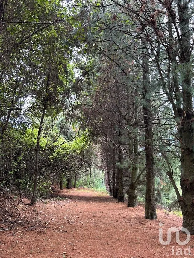 Casa en Venta en Ozumba de Alzate, Ozumba, México | NEX-240473 | iad México | Foto 12 de 16