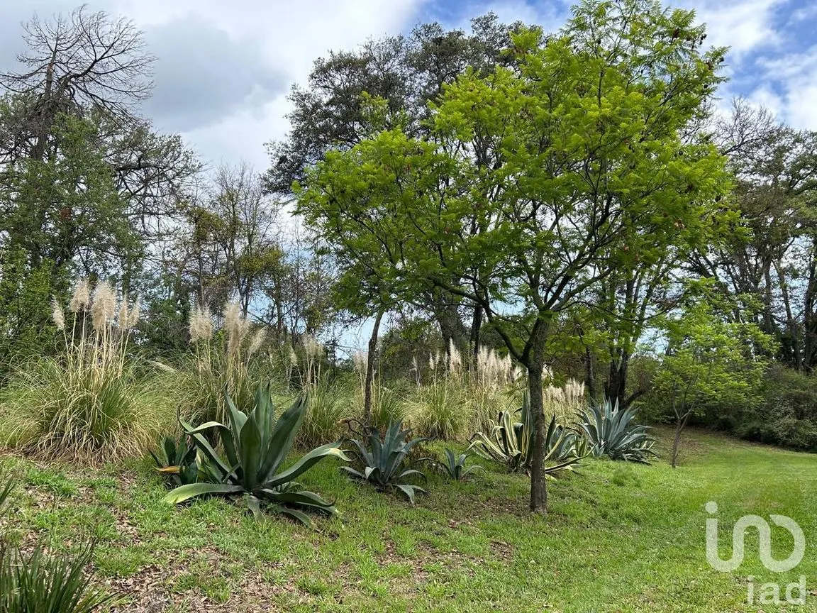 Casa en Venta en Ozumba de Alzate, Ozumba, México | NEX-240473 | iad México | Foto 13 de 16