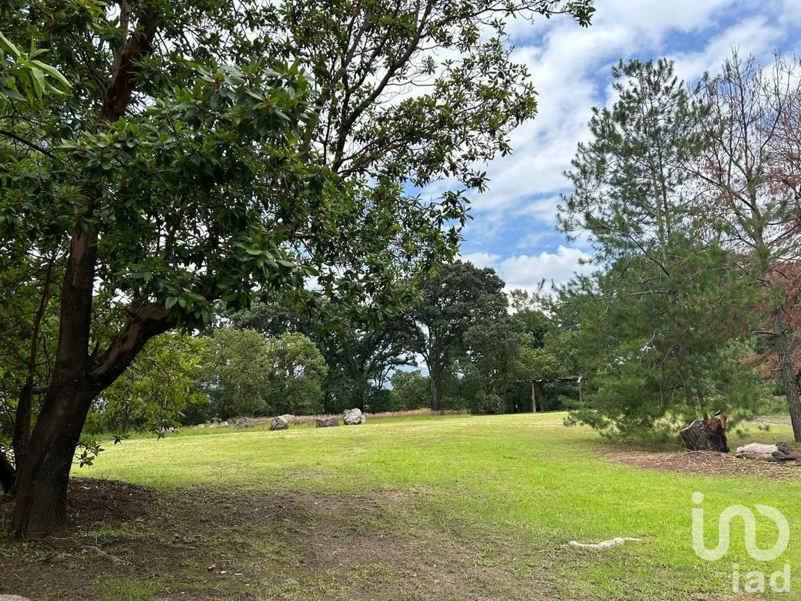 Casa en Venta en Ozumba de Alzate, Ozumba, México | NEX-240473 | iad México | Foto 9 de 16