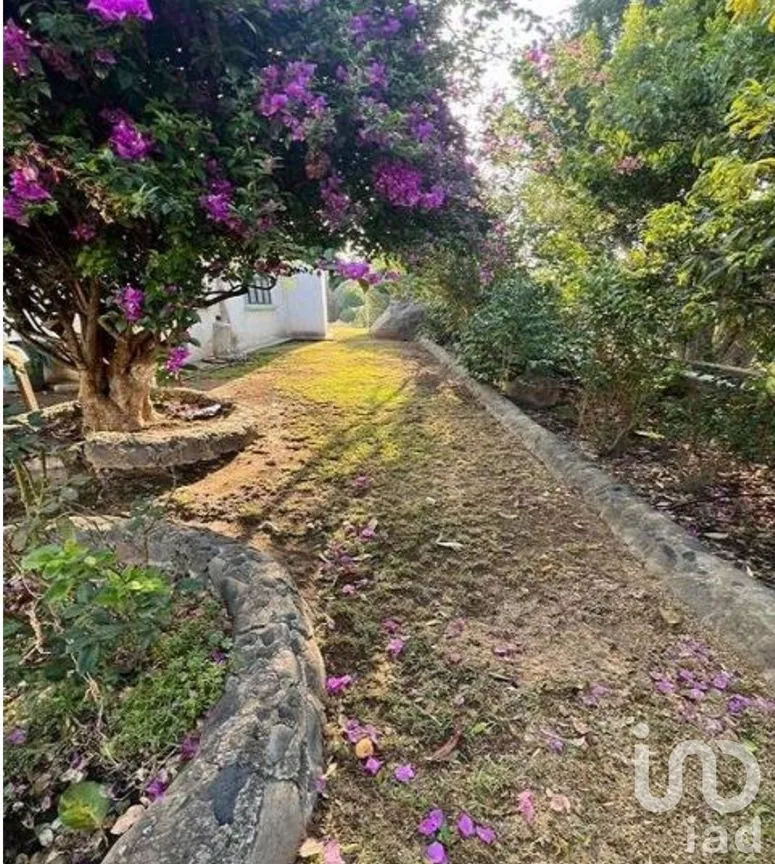 Terreno en Venta en Nepantla de Sor Juana Inés de la Cruz, Tepetlixpa, México | NEX-246192 | iad México | Foto 2 de 10