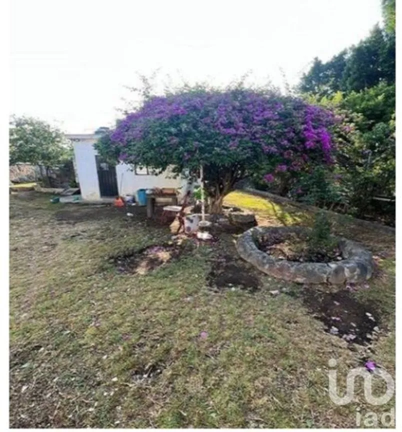 Terreno en Venta en Nepantla de Sor Juana Inés de la Cruz, Tepetlixpa, México | NEX-246192 | iad México | Foto 3 de 10