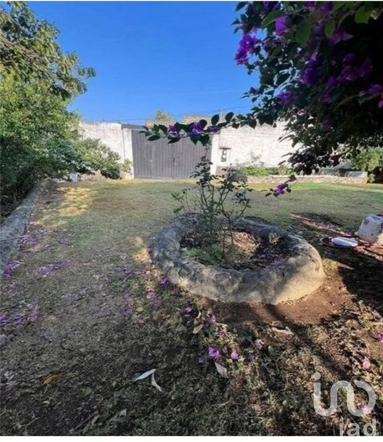 Terreno en Venta en Nepantla de Sor Juana Inés de la Cruz, Tepetlixpa, México | NEX-246192 | iad México | Foto 4 de 10