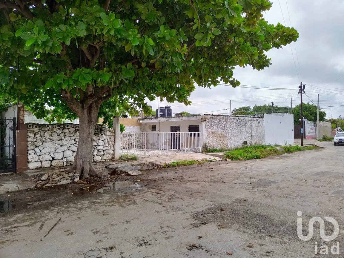 Casa en Renta en Azcorra, Mérida, Yucatán | NEX-152994 | iad México | Foto 2 de 21