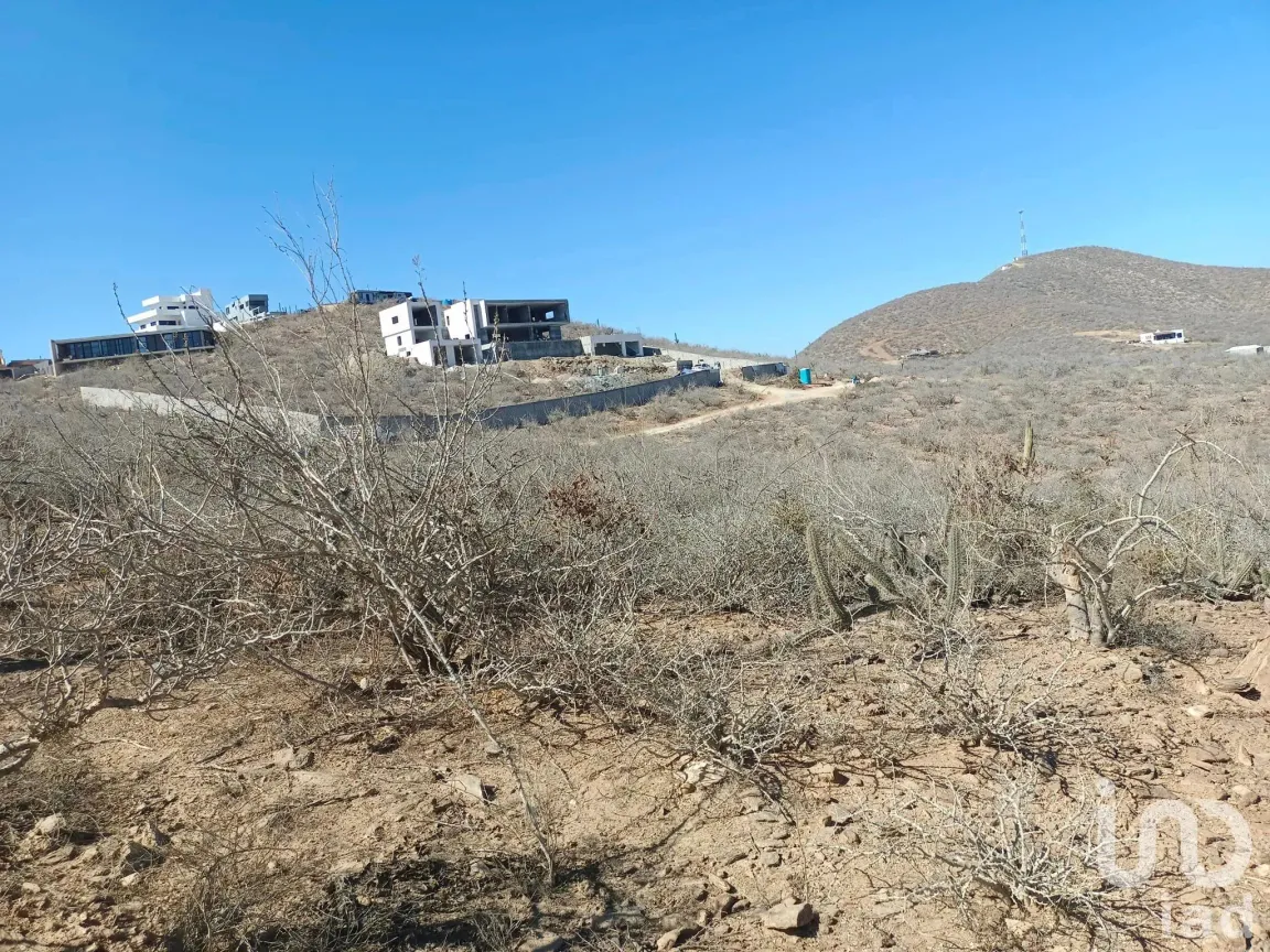 Terreno en Venta en El Pescadero, La Paz, Baja California Sur | NEX-172837 | iad México | Foto 6 de 8