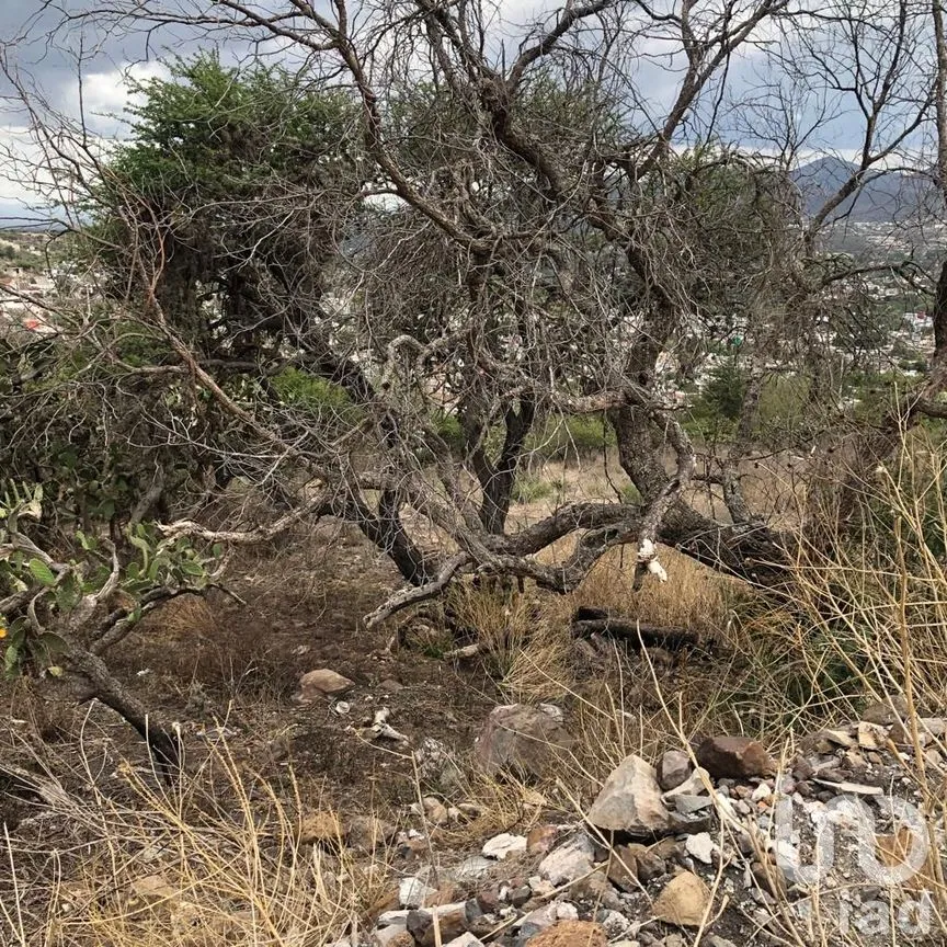Terreno en Venta en Lomas de la Cantera, Tepeji del Río de Ocampo, Hidalgo | NEX-177135 | iad México | Foto 12 de 16