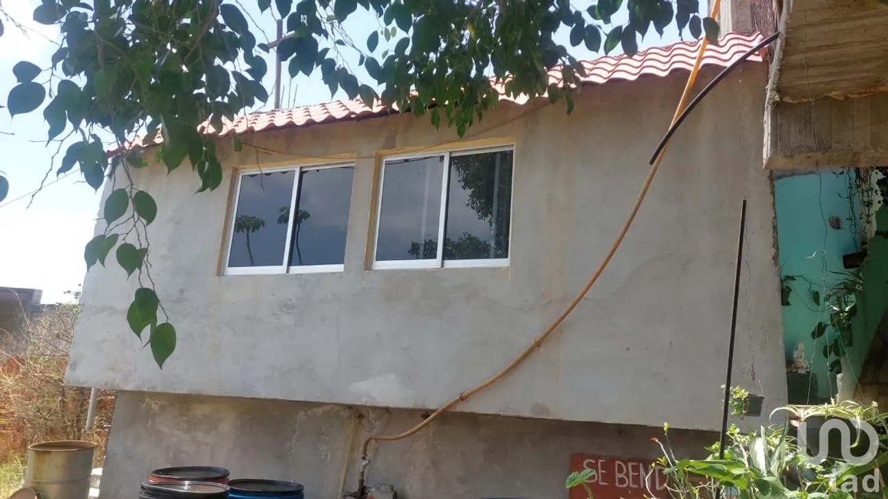 Terreno en Venta en Benito Juárez, Apaseo el Alto, Guanajuato | NEX-256351 | iad México | Foto 2 de 38