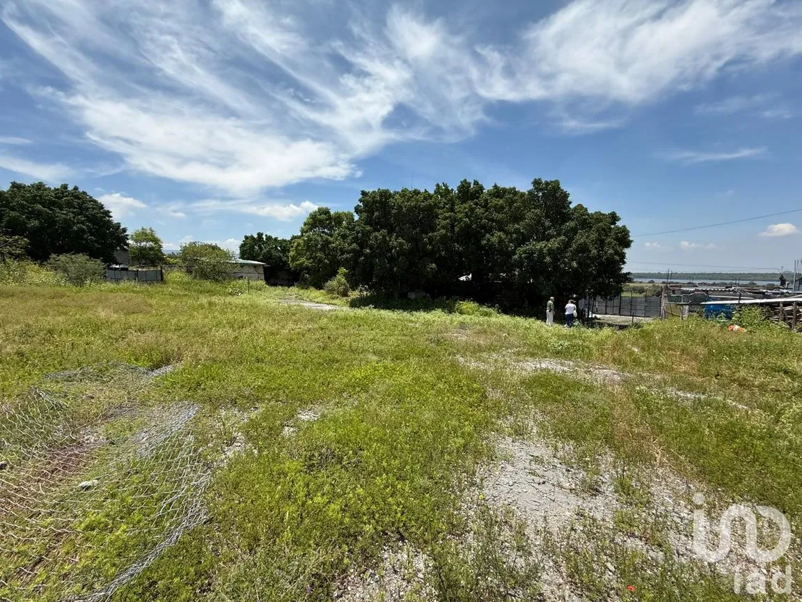 Terreno en Venta en Benito Juárez, Apaseo el Alto, Guanajuato | NEX-256351 | iad México | Foto 30 de 38