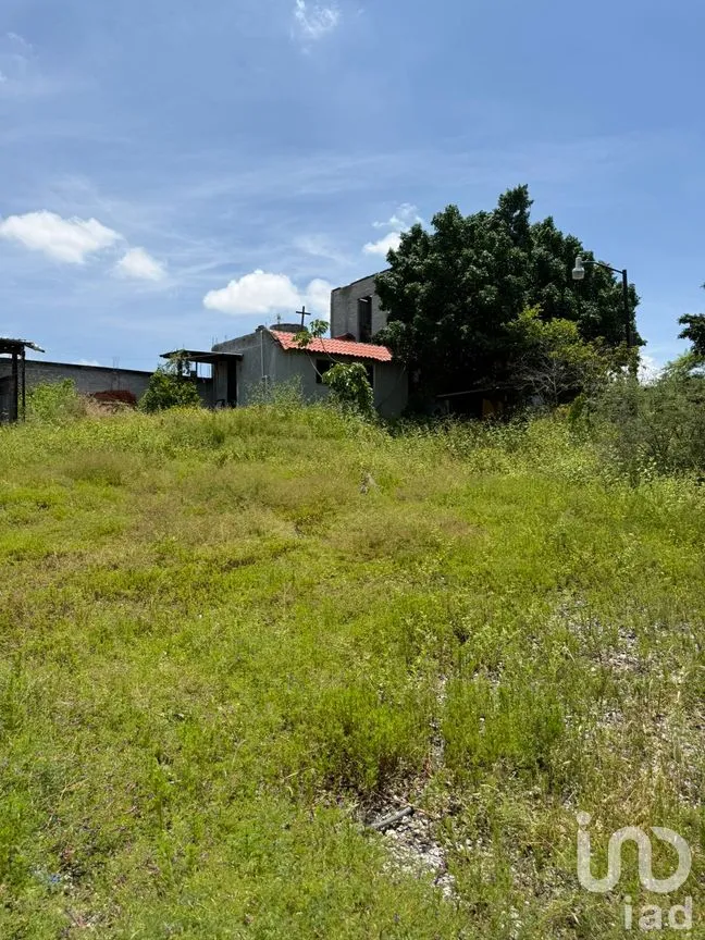 Terreno en Venta en Benito Juárez, Apaseo el Alto, Guanajuato | NEX-256351 | iad México | Foto 6 de 38