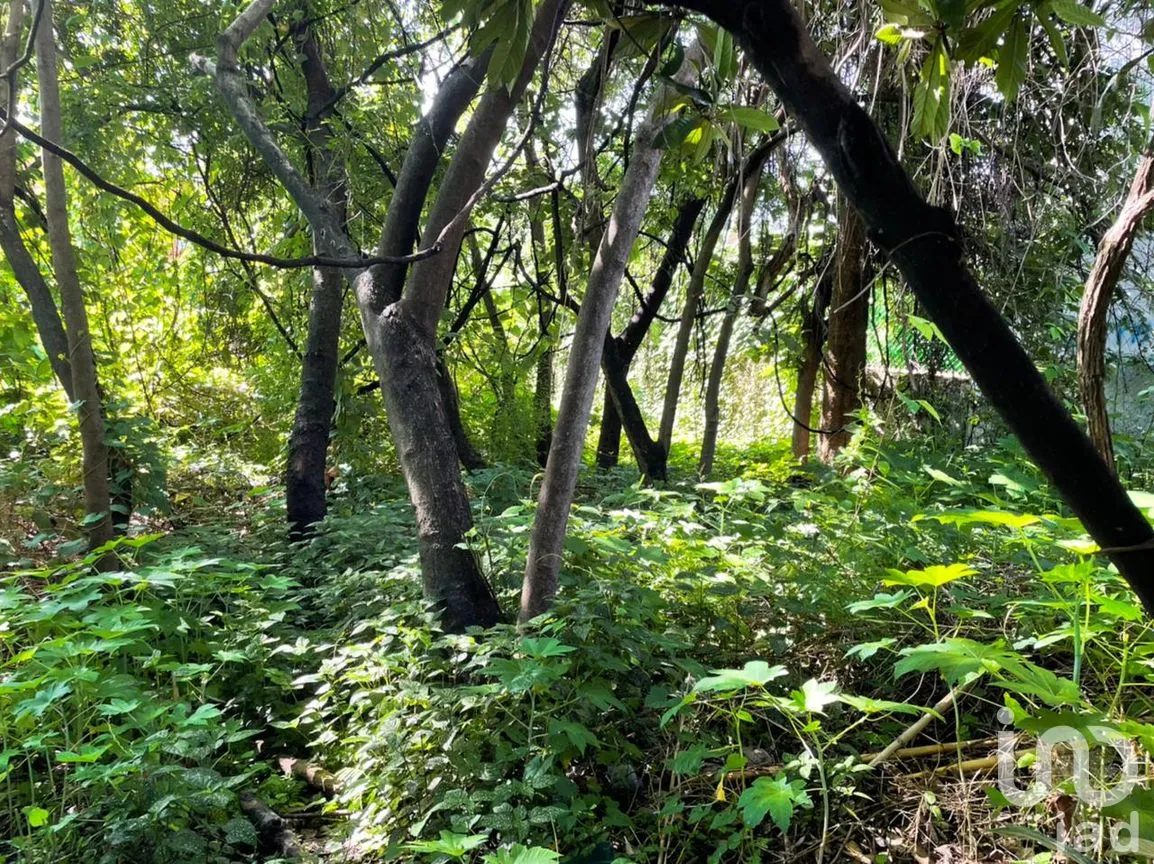 Terreno en Venta en San Jerónimo, Cuernavaca, Morelos | NEX-153997 | iad México | Foto 9 de 9