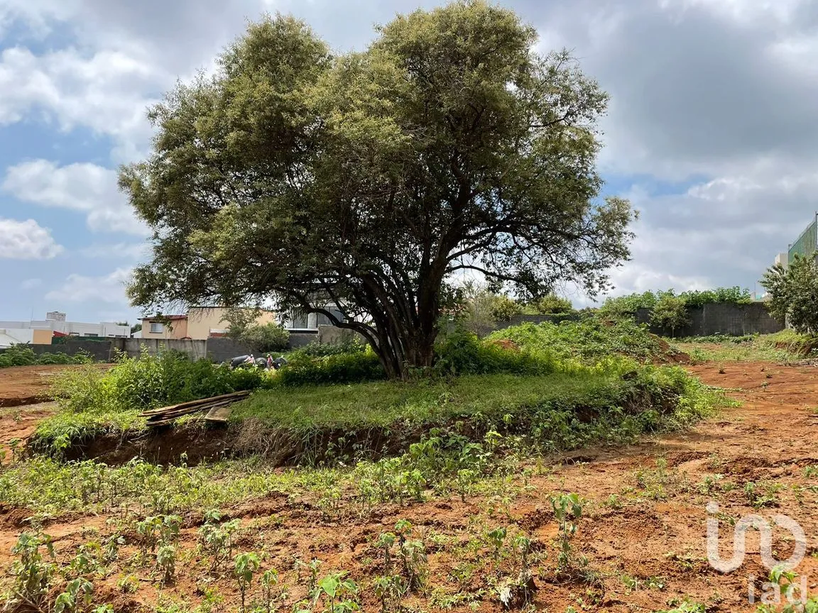 Terreno en Venta en Lomas de Ahuatlán, Cuernavaca, Morelos | NEX-156438 | iad México | Foto 8 de 10