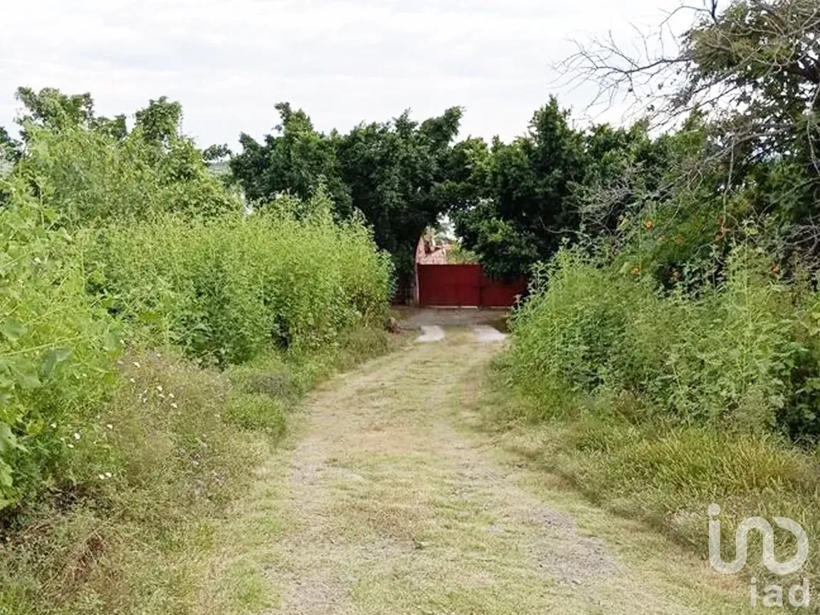 Terreno en Venta en El Rodeo, Miacatlán, Morelos | NEX-294709 | iad México | Foto 4 de 7