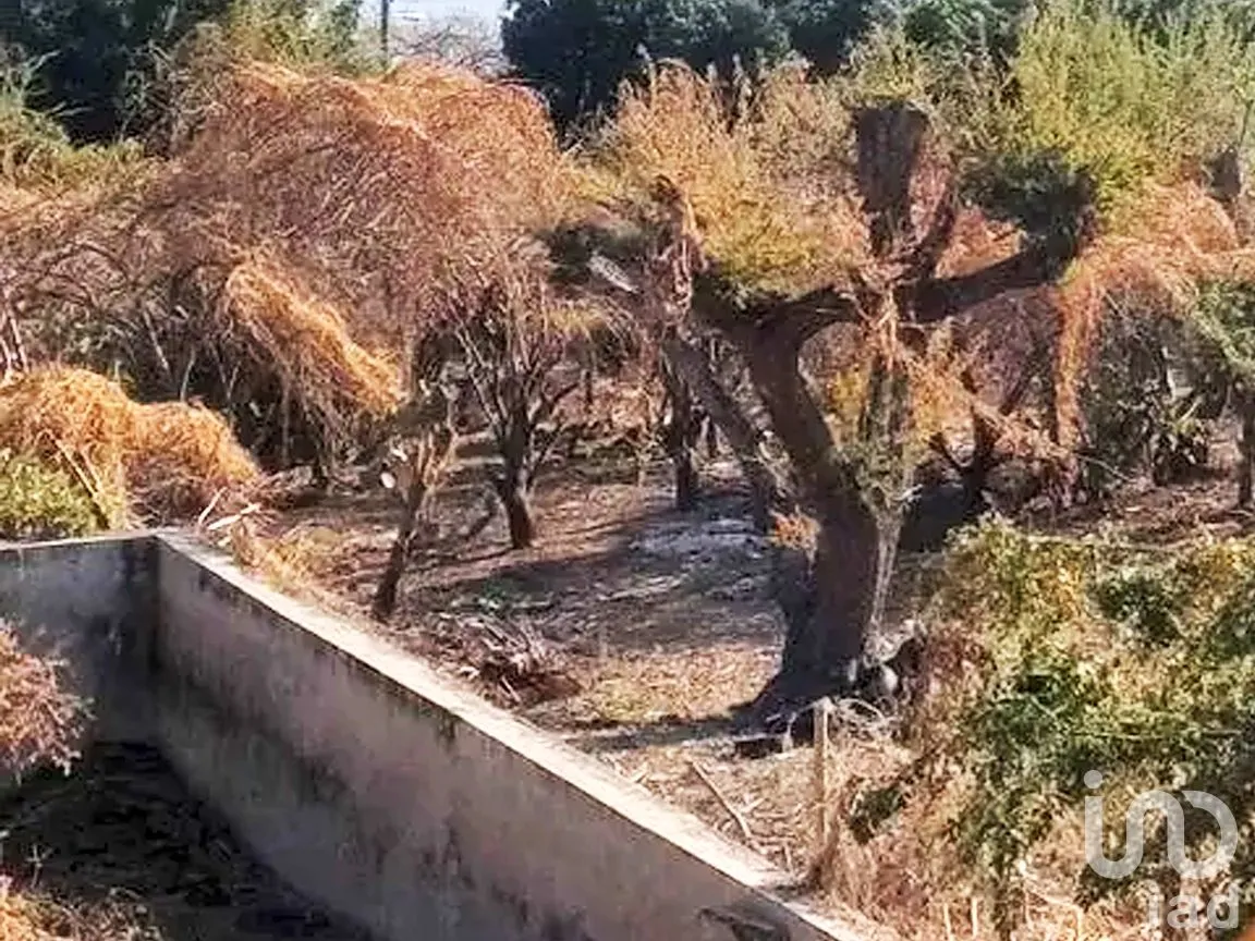 Terreno en Venta en El Rodeo, Miacatlán, Morelos | NEX-294709 | iad México | Foto 7 de 7