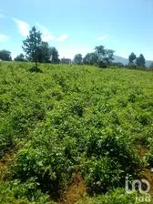 NEX-177723 - Terreno en Venta en Eloxochitlán, CP 73310, Puebla.