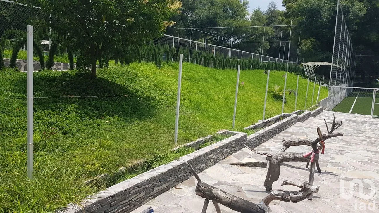 Terreno en Venta en Benito Juárez, Tepeji del Río de Ocampo, Hidalgo | NEX-290148 | iad México | Foto 2 de 10