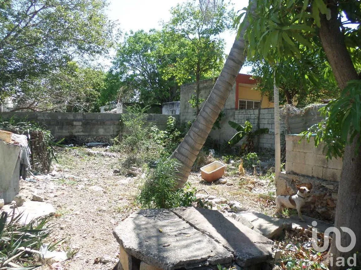 Casa en Venta en San Juan Grande, Mérida, Yucatán | NEX-4814 | iad México | Foto 12 de 13