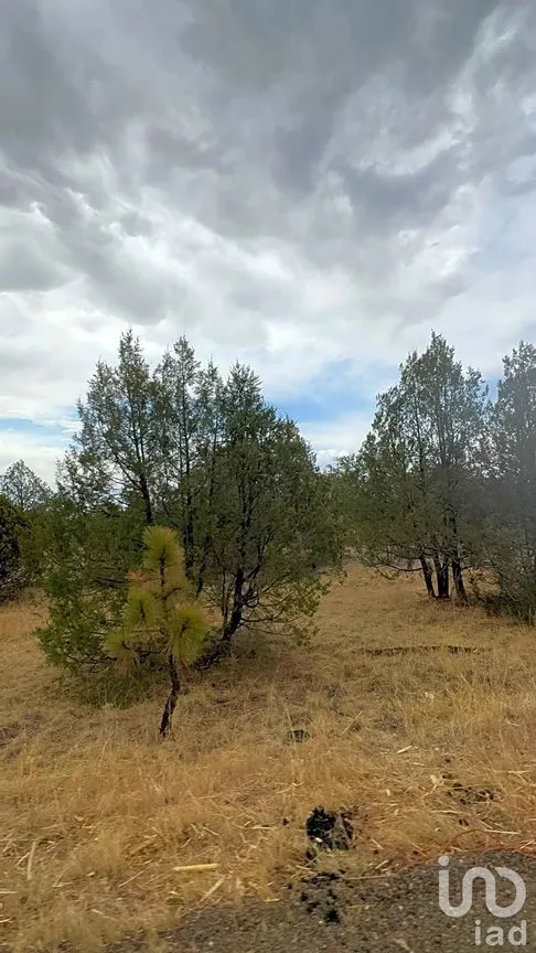 Terreno en Venta en Creel, Bocoyna, Chihuahua | NEX-252077 | iad México | Foto 3 de 4