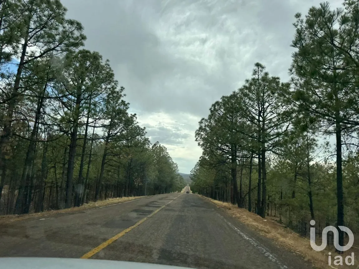 Terreno en Venta en Creel, Bocoyna, Chihuahua | NEX-252077 | iad México | Foto 1 de 4