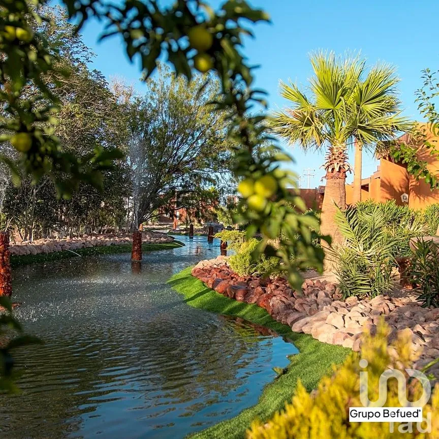 Terreno en Venta en Samalayuca, Juárez, Chihuahua | NEX-256662 | iad México | Foto 12 de 12