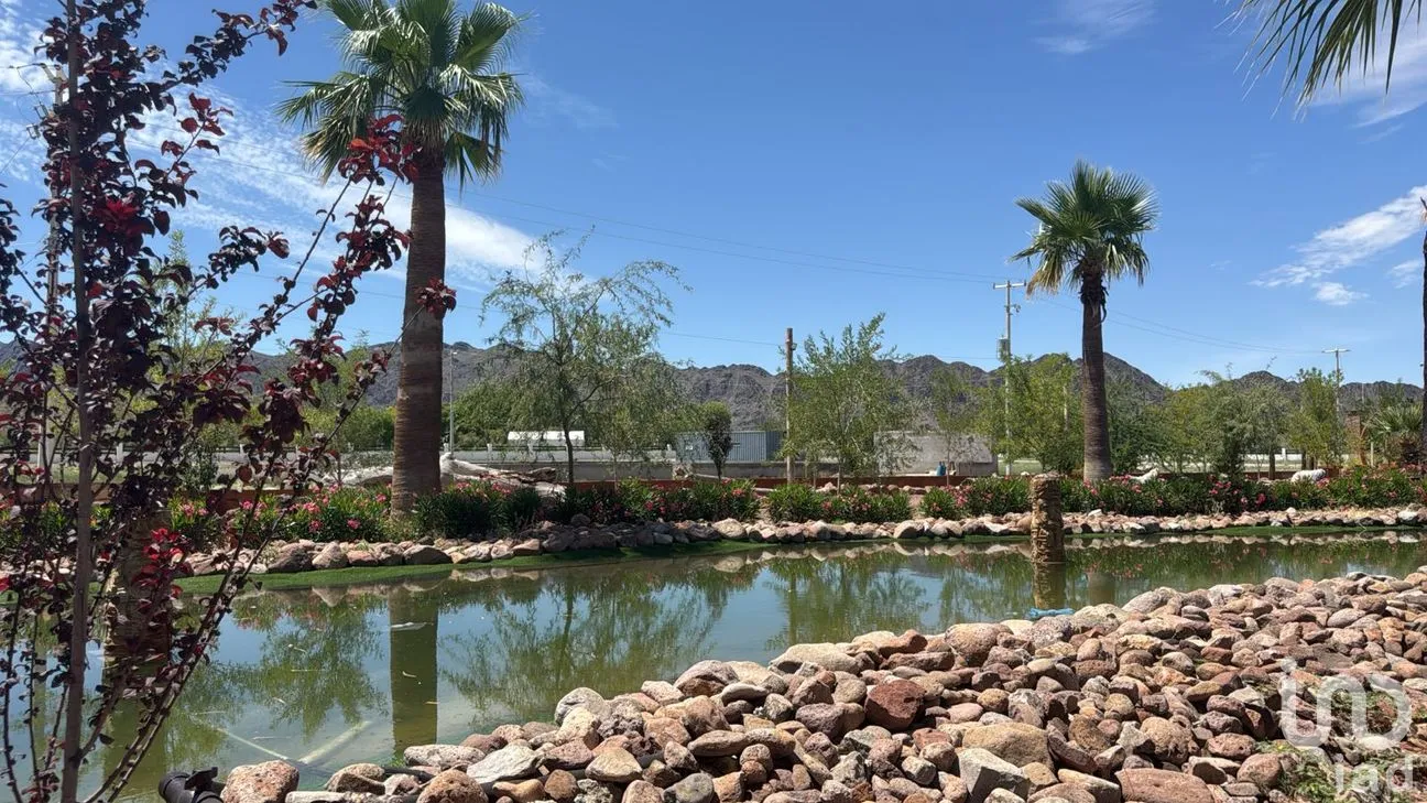 Terreno en Venta en Samalayuca, Juárez, Chihuahua | NEX-256664 | iad México | Foto 8 de 8