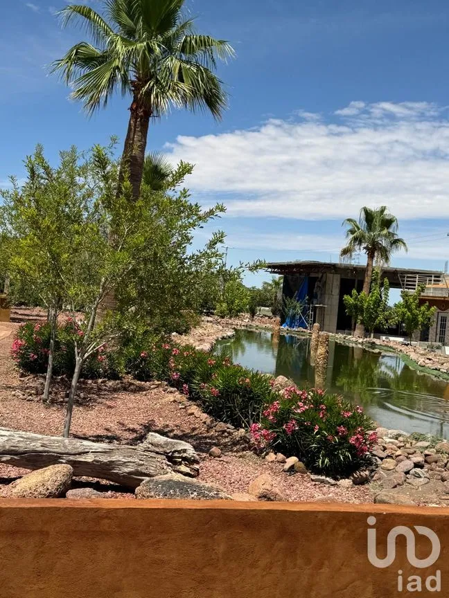 Terreno en Venta en Samalayuca, Juárez, Chihuahua | NEX-256664 | iad México | Foto 3 de 12