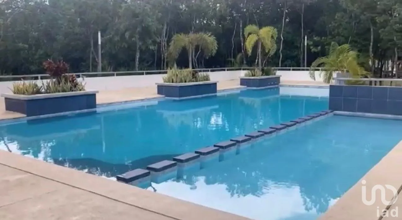 Terreno en Venta en Bosque de Cristo Rey, Solidaridad, Quintana Roo | NEX-257865 | iad México | Foto 3 de 8