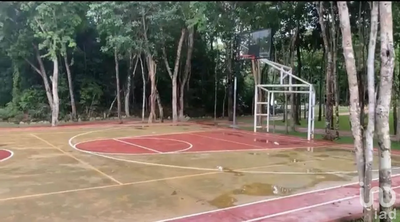 Terreno en Venta en Bosque de Cristo Rey, Solidaridad, Quintana Roo | NEX-257865 | iad México | Foto 5 de 8