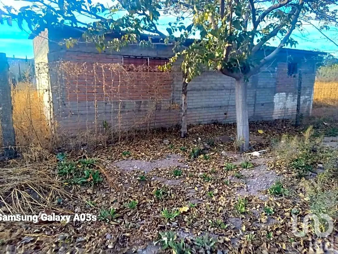 Terreno en Venta en Francisco I. Madero, Nuevo Casas Grandes, Chihuahua | NEX-290012 | iad México | Foto 4 de 8