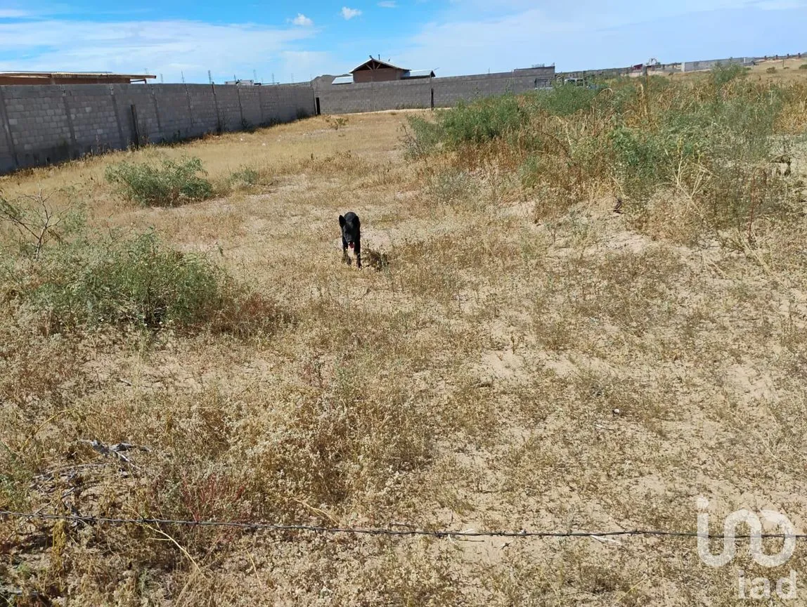 Terreno en Venta en Samalayuca, Juárez, Chihuahua | NEX-291319 | iad México | Foto 6 de 9